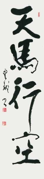 天馬行空（劉廷振） — 中村雲龍