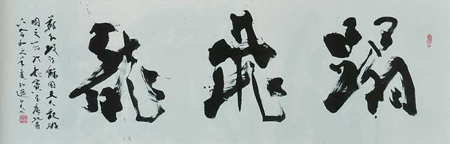 とう飛龍 — 星弘道