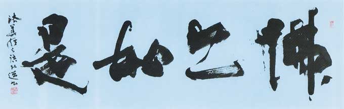 佛亦如是（妙法蓮華経） — 星弘道